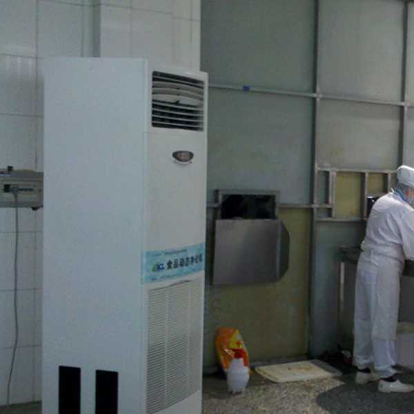 玉树食品正负离子空气杀菌器